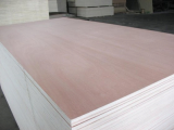 Sell_ Bintangor plywood with packing grade